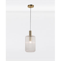 Ip45 pendant deals light